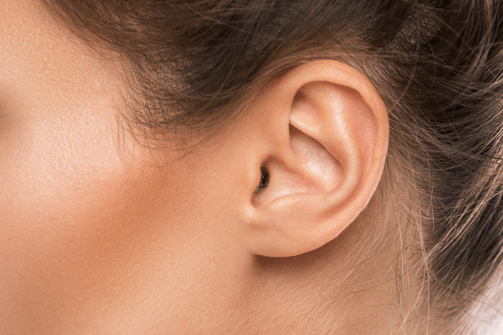 Estética de orejas prominentes