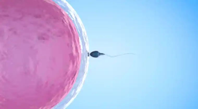 IVF of the Future A Natural, Trustworthy Path to Parenthood in Cyprus