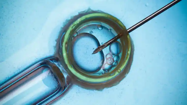 IVF - in vitro infertilisation Istanbul Turkey Cyprus