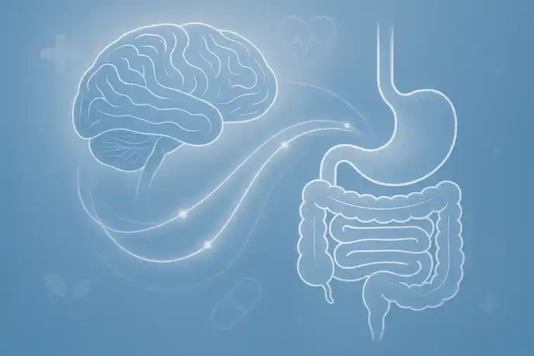 Gut-Brain Axis Treatment Istanbul Turkey