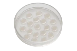 Egg Donation in Cyprus