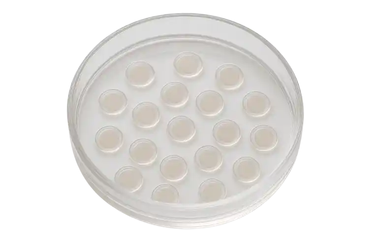 Egg Donation in Cyprus