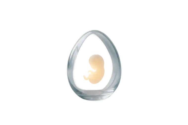 Egg-Donation-in-Cyprus-Published-studies-report-success-rates-of-up-to-80%