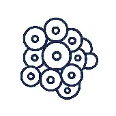 Exosome applications