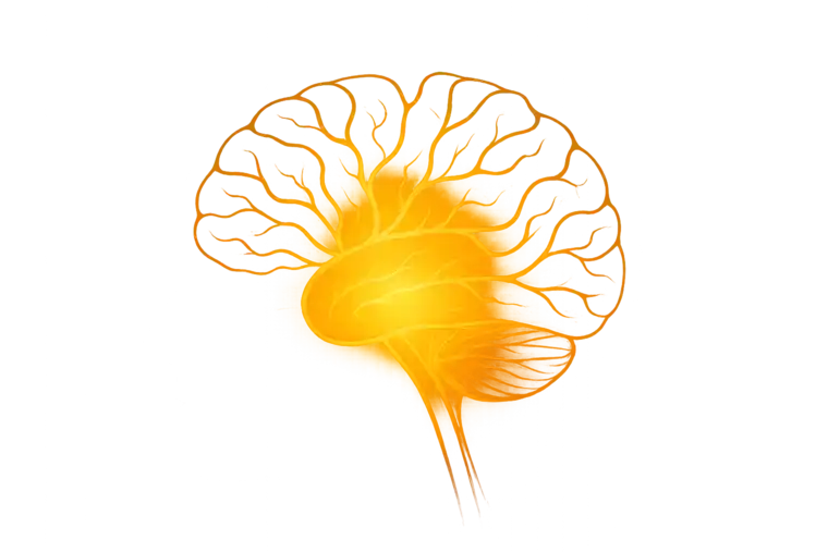 Stem Cell & Exosome Treatment for Traumatic Brain Injury in Istanbul Turkey near me