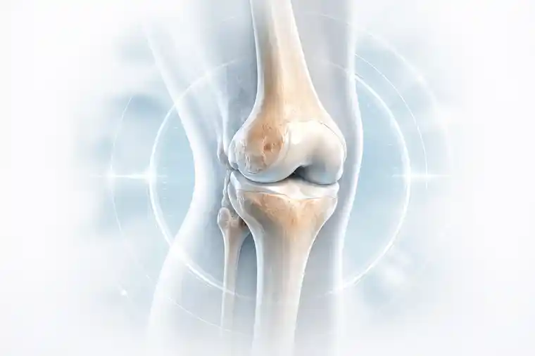 Evaluation of a good candidate for stem cell injections shown in a clear knee joint medical illustration